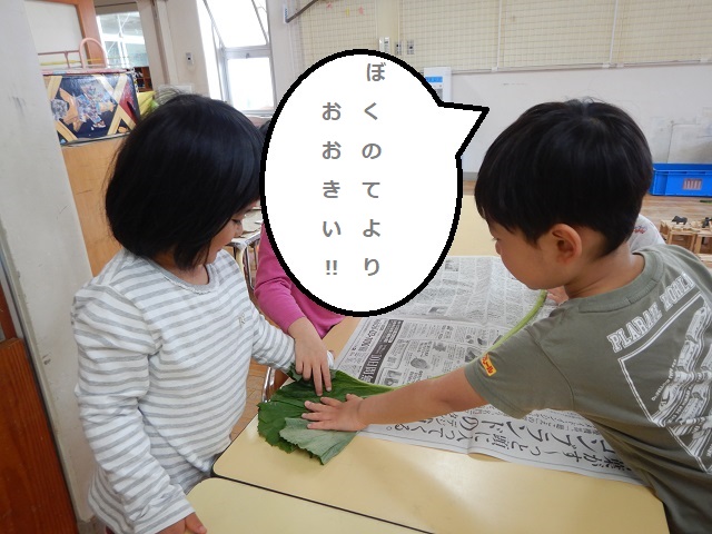 ふき4