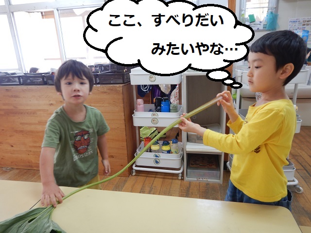 ふき5