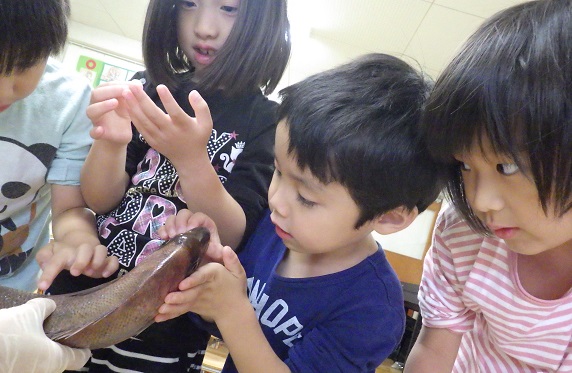 鯛2