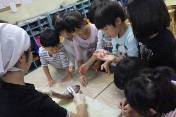 鯛3