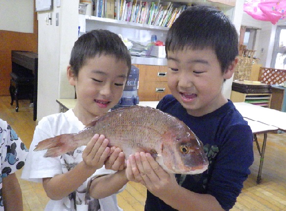 鯛9