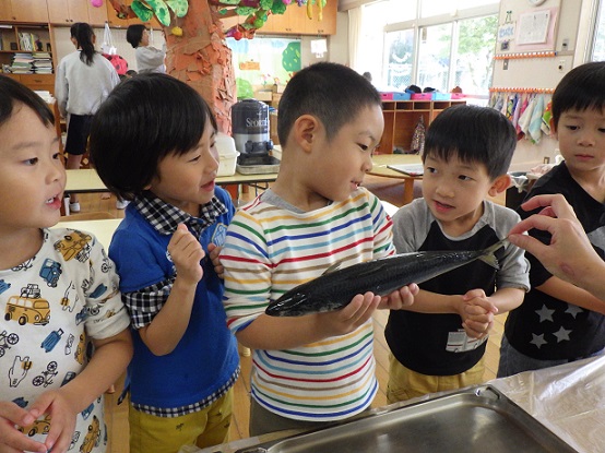 鯖4