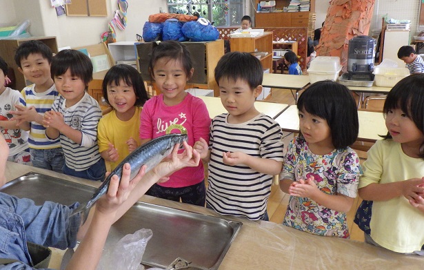 鯖6
