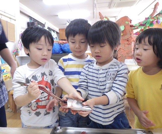 鯖7