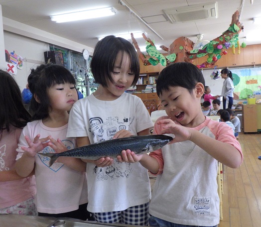 鯖1